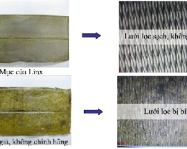 Bạn có biết những nguy hại khi sử dụng máy in phun công nghiệp giả