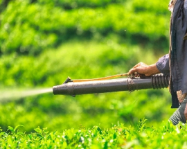 Bắt cơ sở sản xuất thuộc bảo vệ thực vật dả lợi dụng máy in phun date