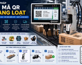 In Mã QR Hàng Loạt: Giải Pháp Quản Lý Dữ Liệu Và Truy Xuất Nguồn Gốc Cho Doanh Nghiệp Sản Xuất