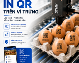 In QR Trên Vỉ Trứng Giúp Doanh Nghiệp Quản Lý Và Truy Xuất Nguồn Gốc