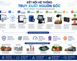 Kết Nối Hệ Thống Truy Xuất Nguồn Gốc Với ERP Qua API