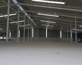 Kho sữa chứa lô hàng quá hạn sử dụng của Friesland Campina