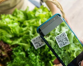 Hệ thống in mã truy xuất nguồn gốc trên bao bì