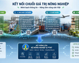 Kết nối với hệ thống của Bộ Nông nghiệp ra sao? Hướng dẫn 2026