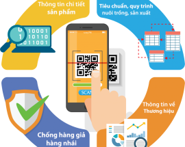 5 bước quản lý truy xuất nguồn gốc sản phẩm hiệu quả nhờ công nghệ in mã vạch