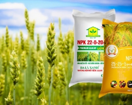 Tìm hiểu công nghệ sản xuất phân bón